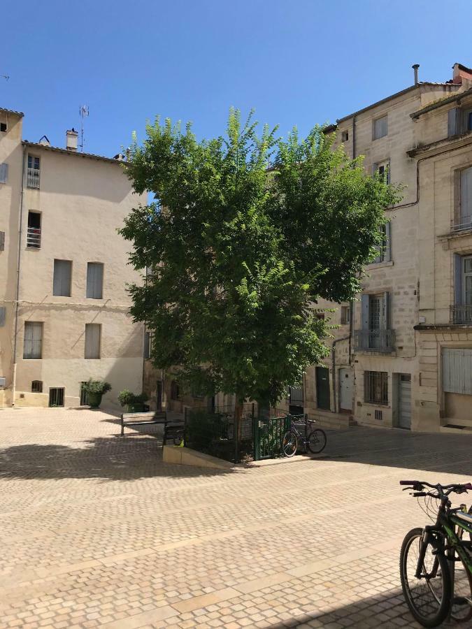 Super Appart T2 - Historic Center - Idealement Situe مونبيلييه المظهر الخارجي الصورة